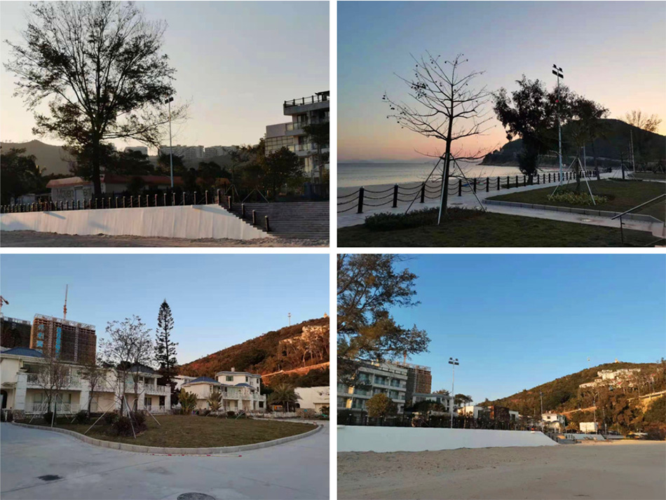 1663135748513114.jpg 999.jpg